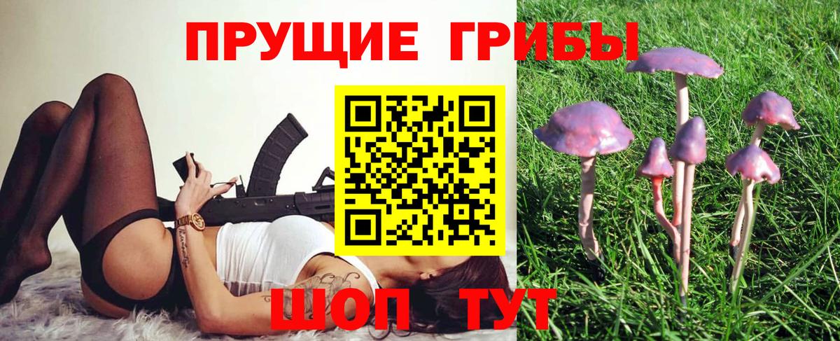 Псилоцибиновые грибы GOLDEN TEACHER  Вход с VPN  Воткинск 